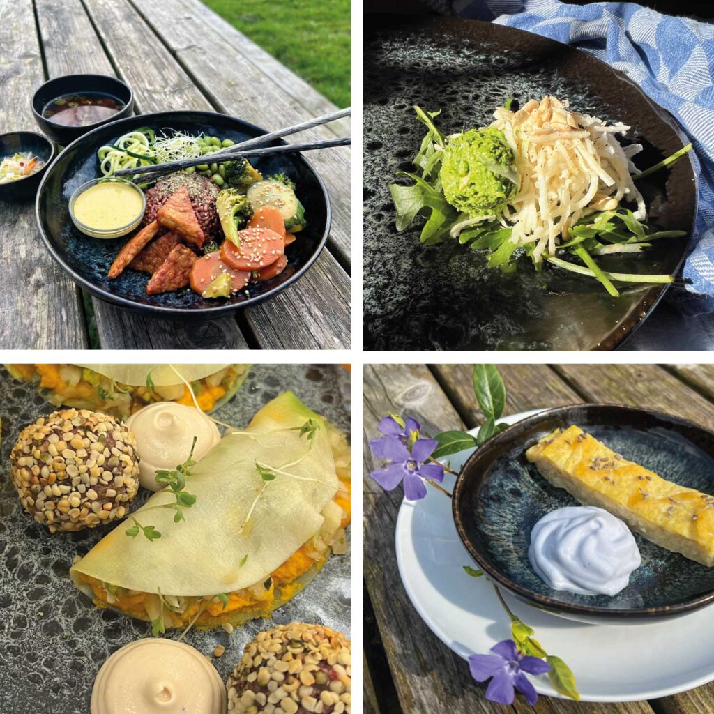 food-concept-The-Land-of-Taste-1 (1)